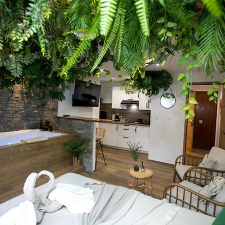 Jungle Room Cannes Buitenkant foto