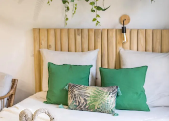 Jungle Room Cannes