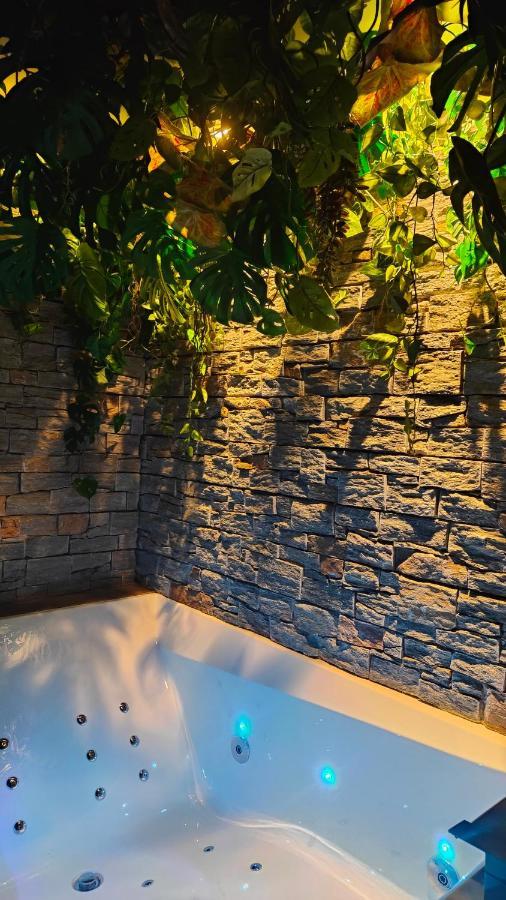 Jungle Appartement Cannes