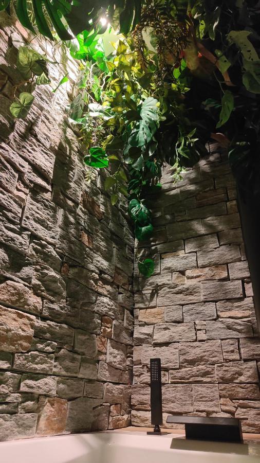 Appartement Jungle *
