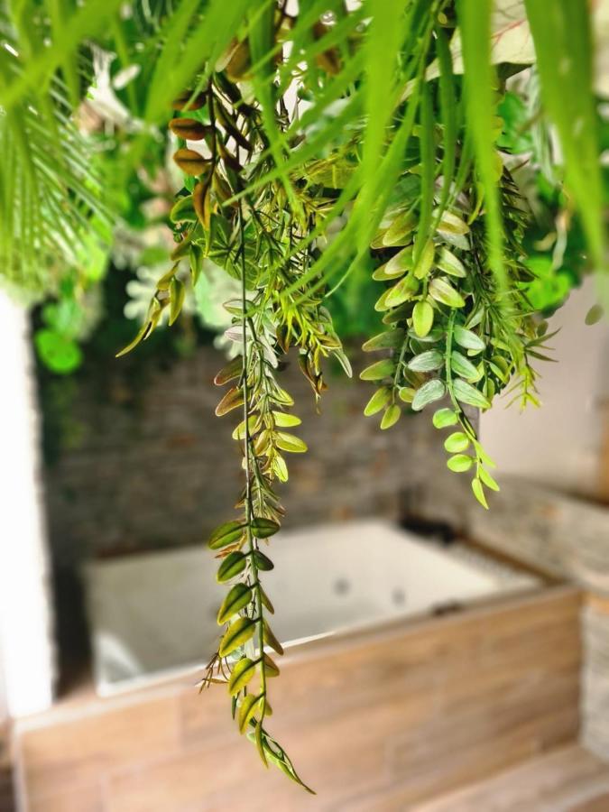 Jungle Appartement *