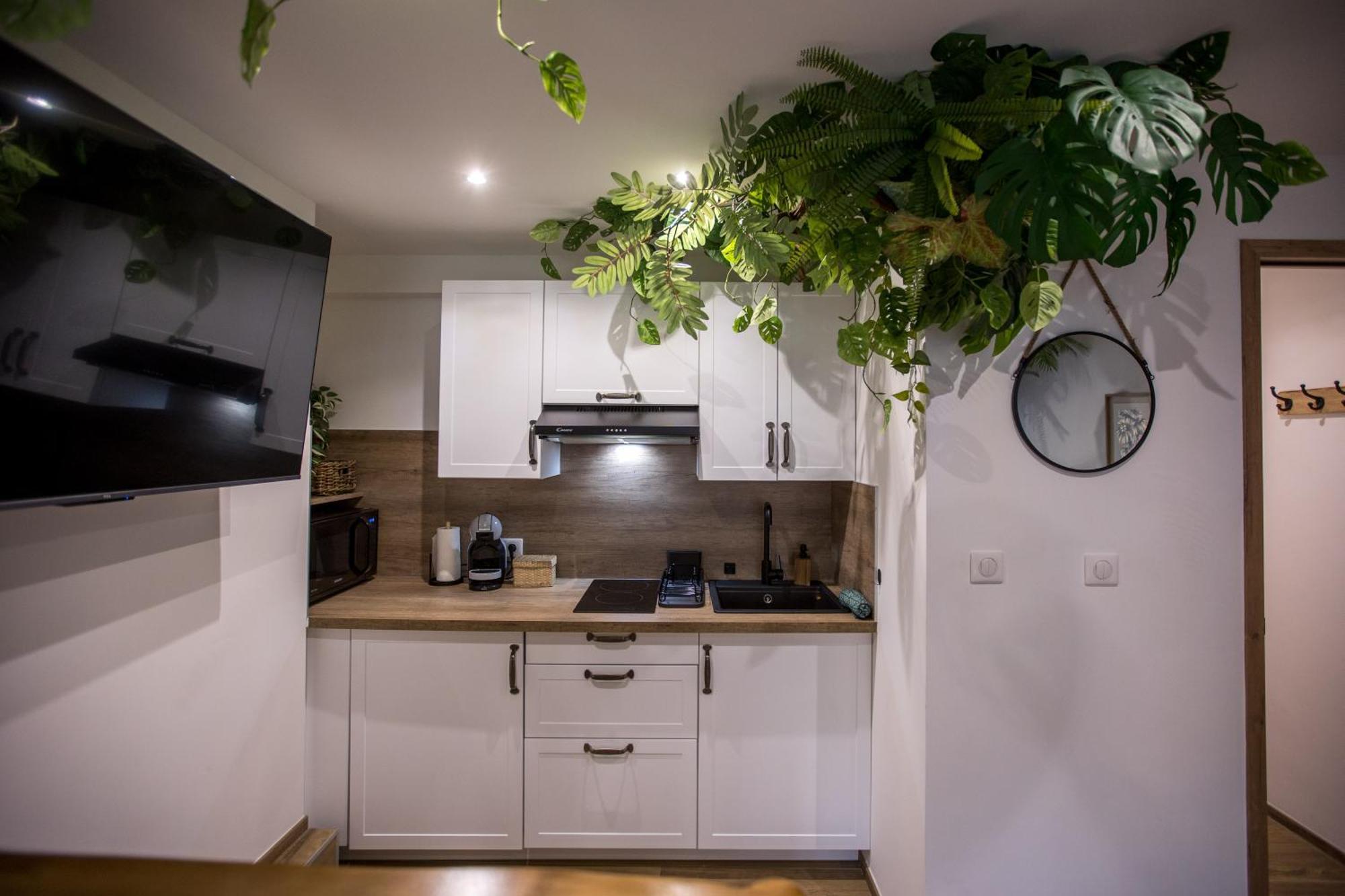 Appartement Jungle